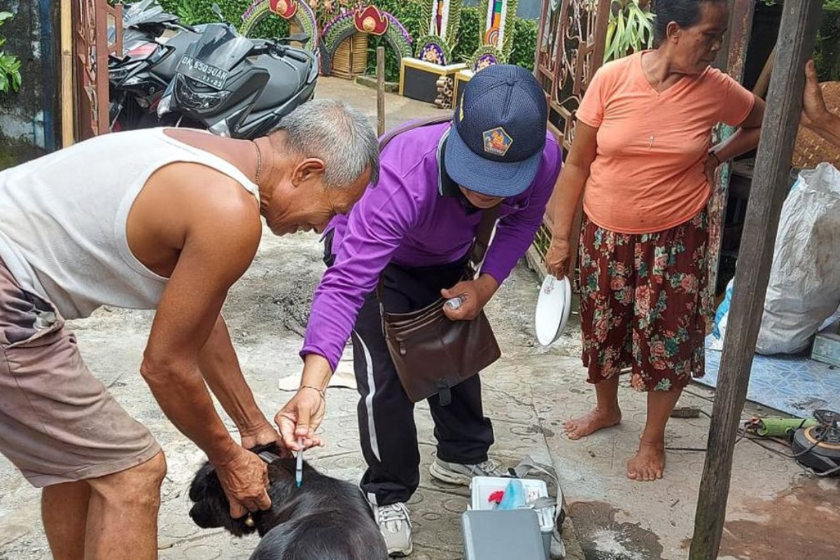 Kasus Gigitan Rabies Tinggi, Buleleng Minim Tenaga Dokter Hewan