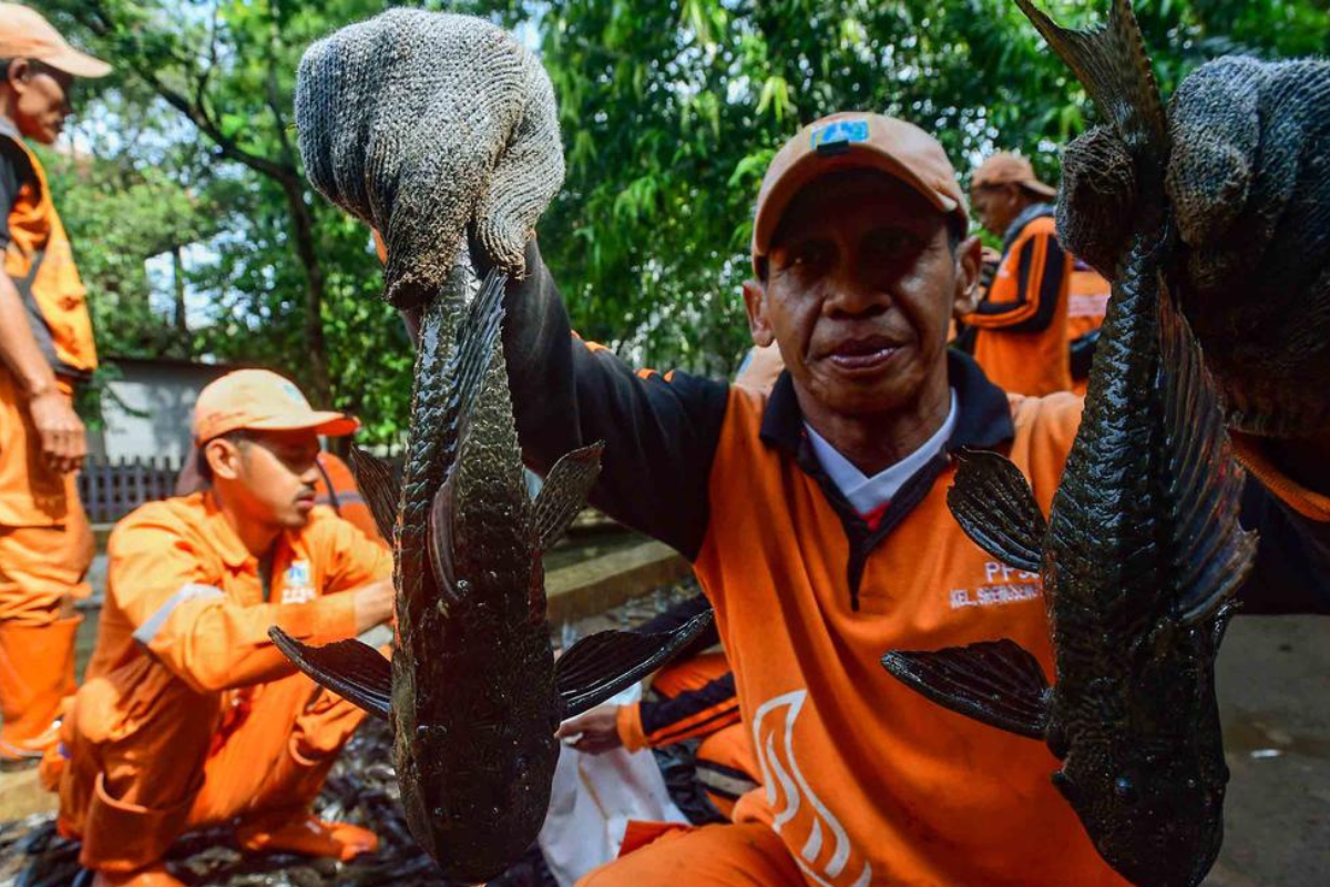 Bahtsul Masail Tebuireng Tetapkan Hukum Ikan Sapu-Sapu dan NOR