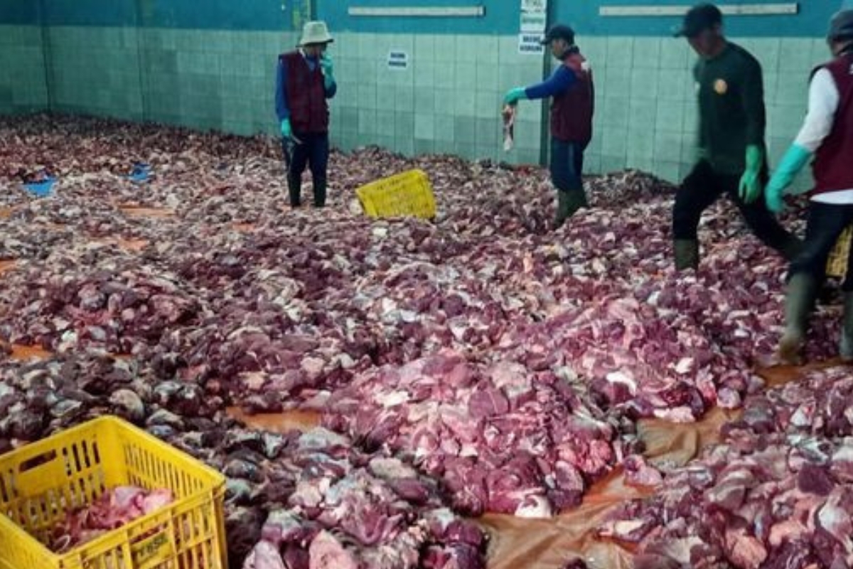 Dusun Krajan Banjarnegara Diprediksi Kembali Banjir Daging Kurban