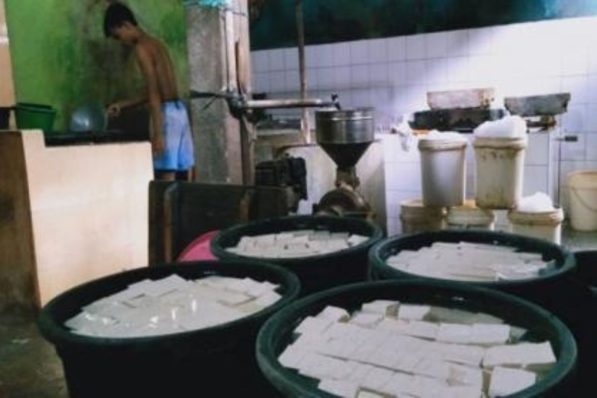 Siasati Kedelai Mahal, Perajin Tahu Tuksono Kurangi Dimensi Produk