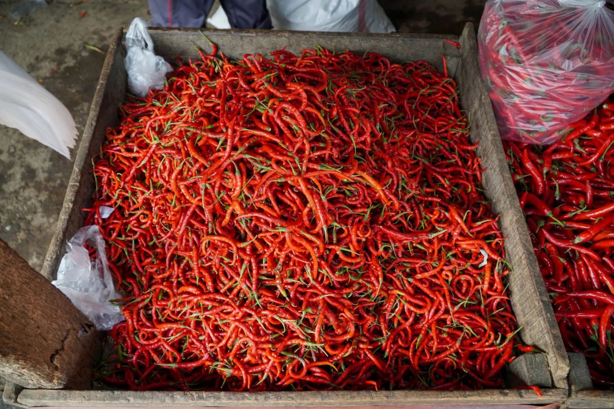 Harga Cabai Rawit Merah Rp63.900 dan Telur Ayam Rp29.250 per Kg