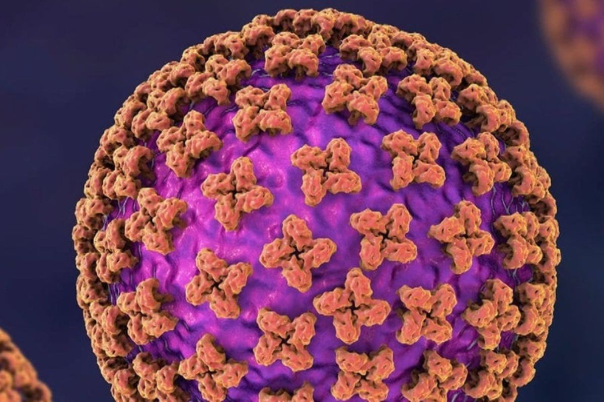 Waspada Hantavirus di Indonesia: 23 Kasus Ditemukan di 9 Wilayah