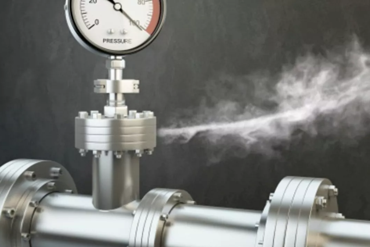 Kebocoran Gas Amonia di India: 7 Tewas dan Puluhan Pekerja Terluka