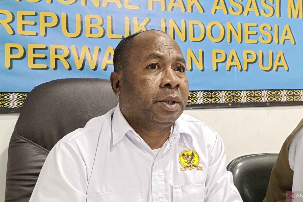 Puluhan Warga Tewas, Komnas HAM Papua Kritik Kinerja Satgas TNI