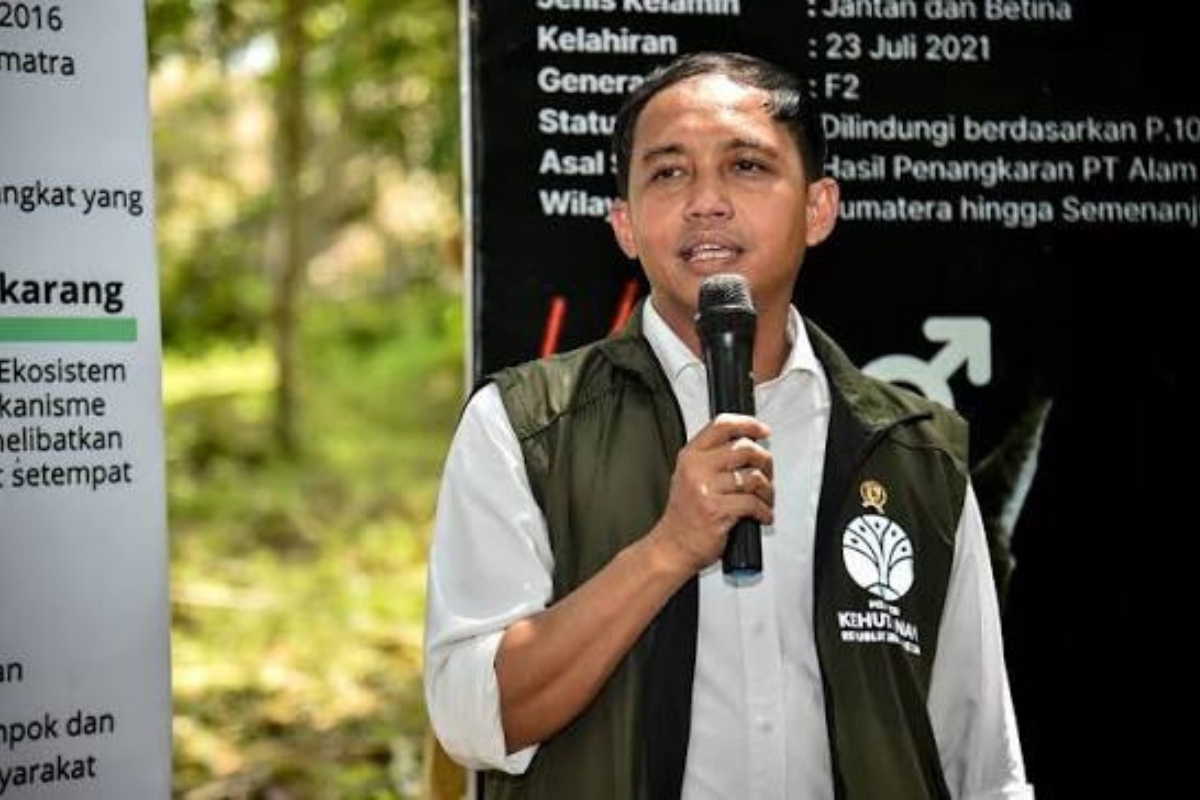 Menhut Targetkan Kredit Karbon Hutan 30 Juta Ton CO2e di Juli