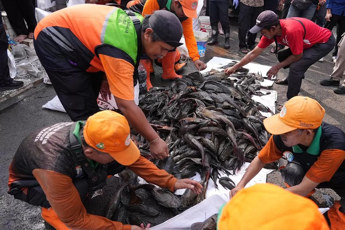 Hukum Ikan Sapu & Human Composting Hasil Bahtsul Masail Tebuireng