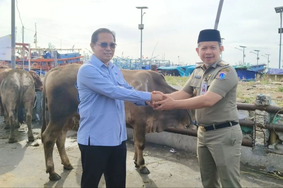 Idul Adha: PT JOE Salurkan Hewan Kurban ke Kepulauan Seribu