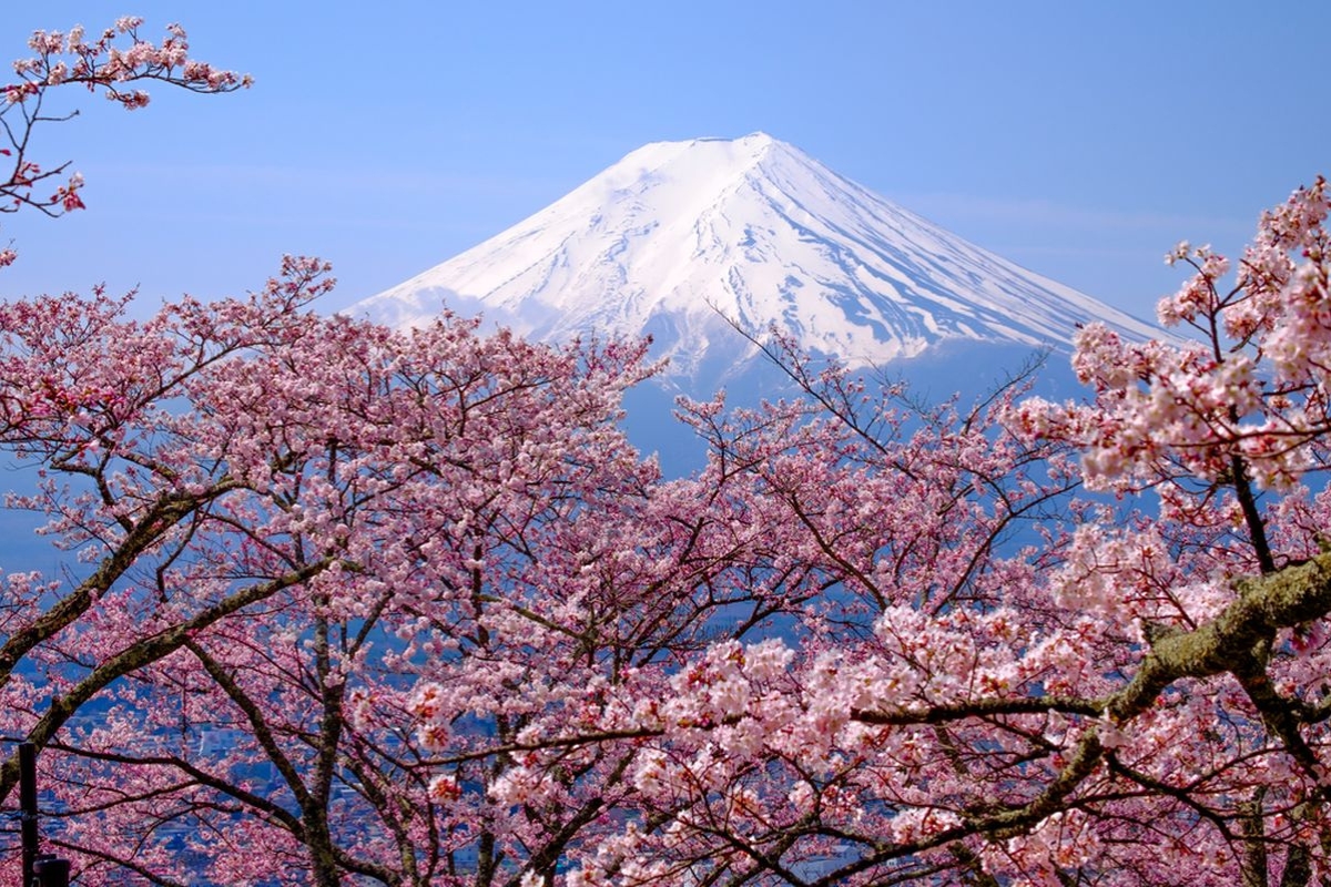 Musim Pendakian Gunung Fuji Dibuka, Dua Pos Darurat Baru Disiapkan