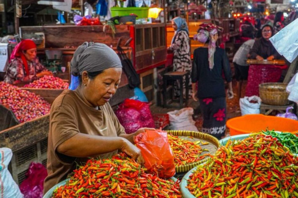 Update Harga PIHPS: Cabai Rawit Rp73 Ribu, Telur Naik Rp29.550/Kg