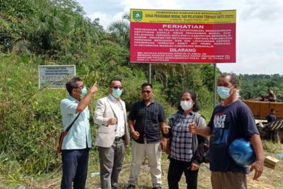 olda Riau Tetapkan PT Musim Mas Tersangka Perusak Lingkungan