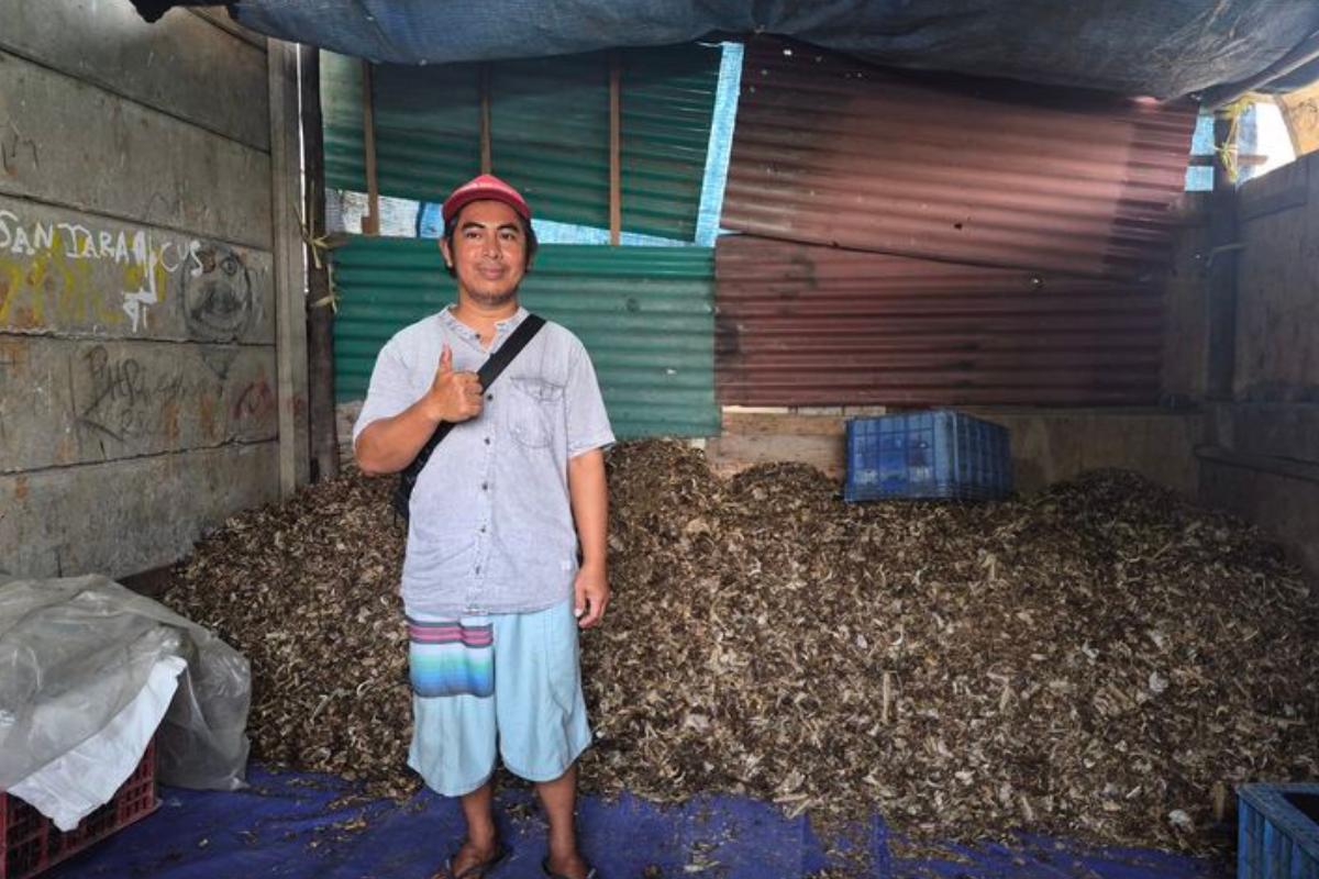 Olah Limbah Kepala Ikan Tongkol Jadi Peluang Kerja di Cilincing