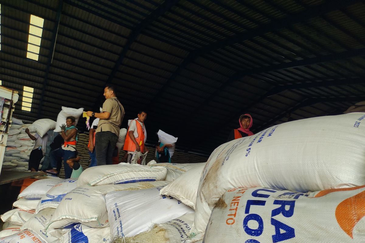Bulog Lampung Salurkan Hampir 5.500 Ton Beras Program SPHP