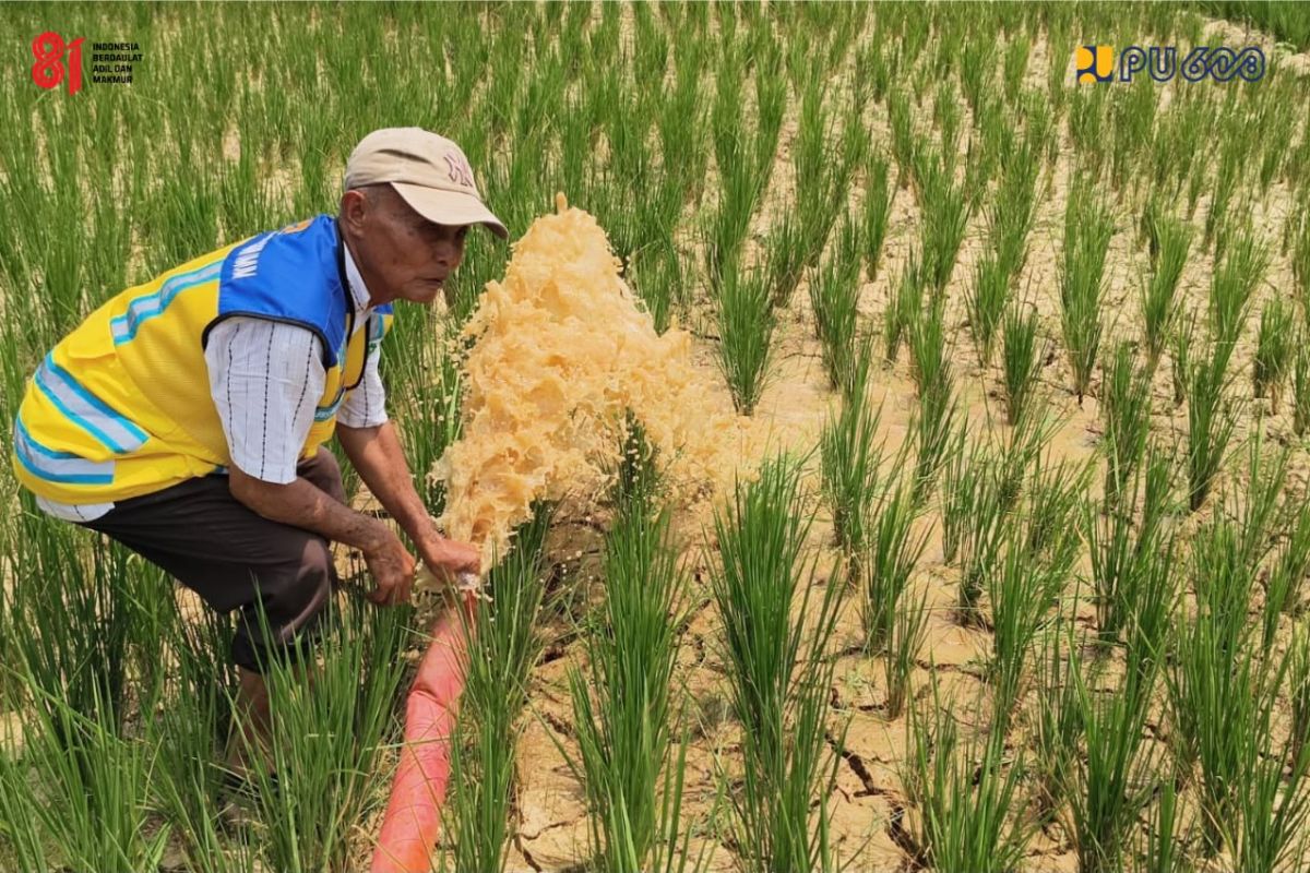 Atasi Krisis Air, PU Salurkan Air ke Lahan Pertanian Sarolangun