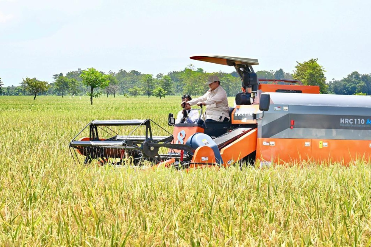 Saluran Irigasi Baru, 110 Hektar Sawah Bogor Panen 3 Kali