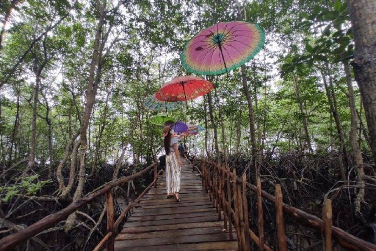 Pengusaha Batam Dituntut Rp 19,8 M akibat Rusak Hutan Mangrove