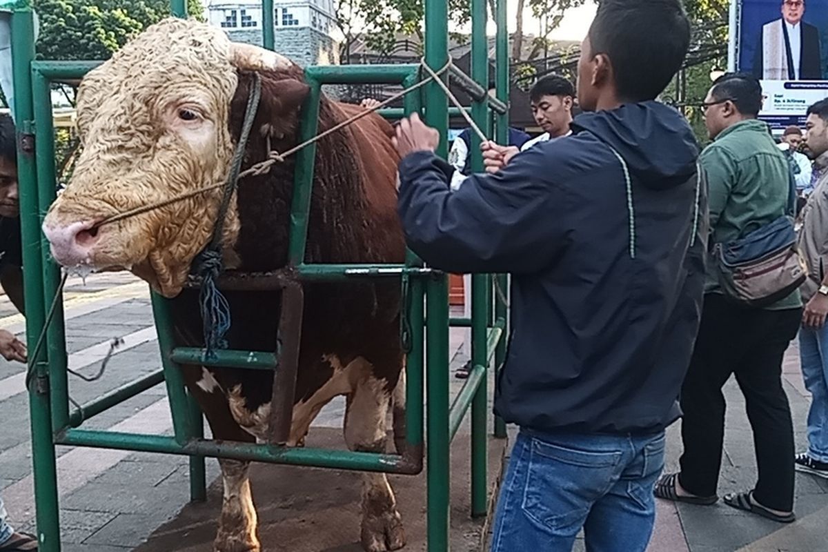 Kilas Jakarta: Macet Cilincing sampai Sapi Kurban Presiden