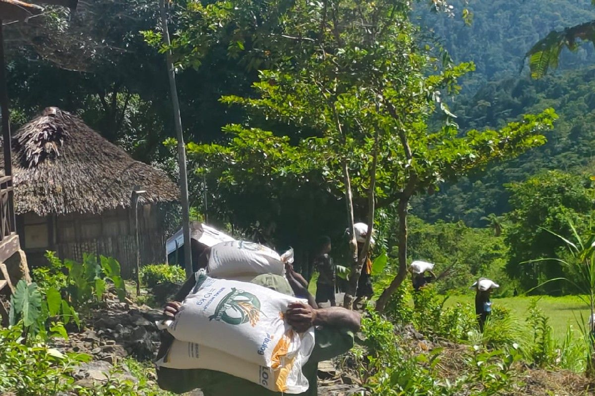 Upaya Pemerintah Jaga Ketahanan Pangan di Wilayah 3T Papua