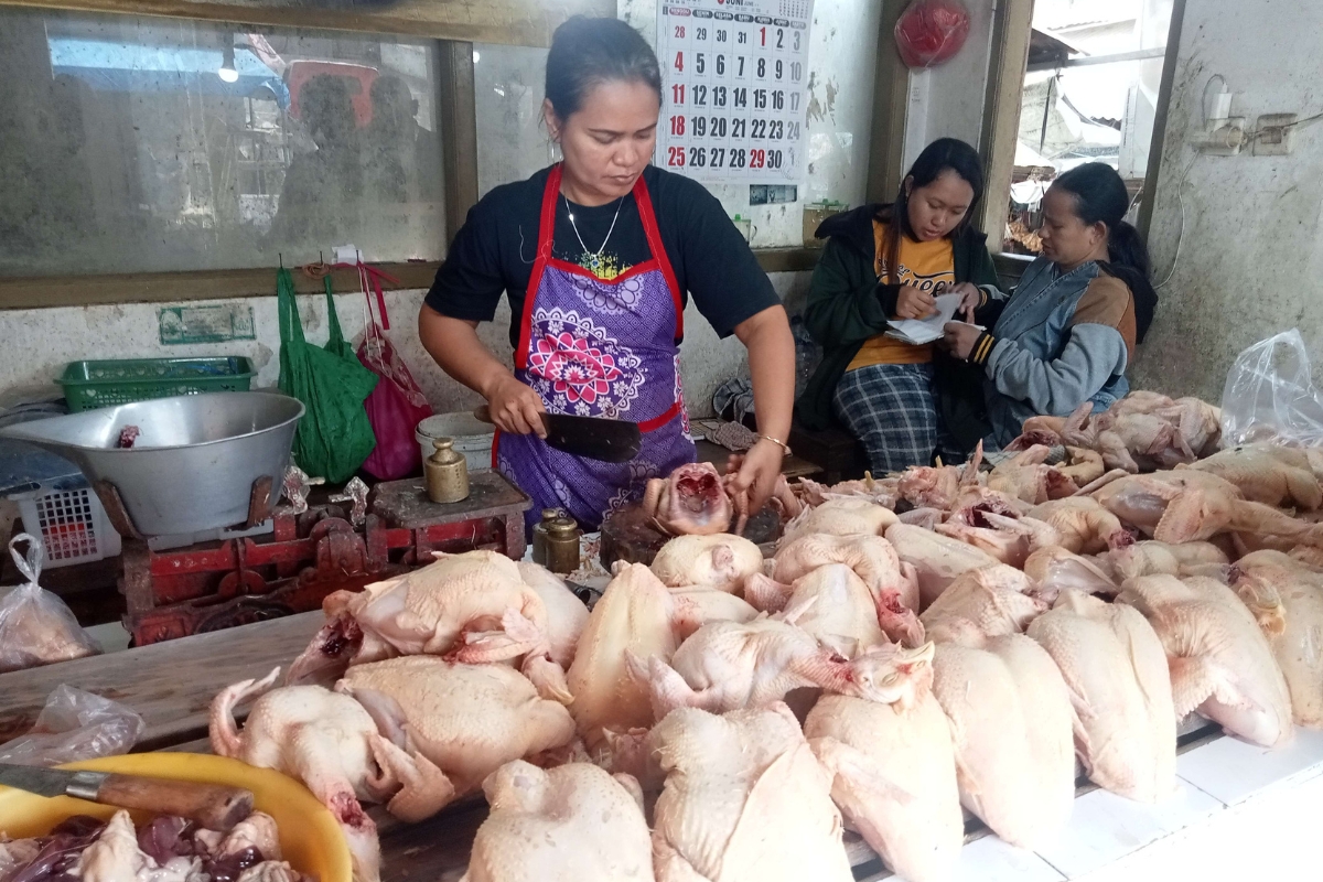 Imbas Pasokan Melimpah, Harga Daging Ayam di Pasar Ikut Merosot