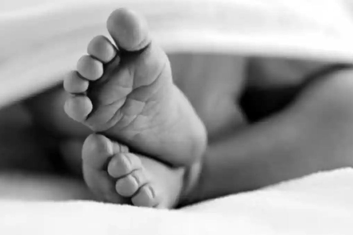 Polisi Ringkus Ibu yang Buang Bayi di Bawah Pohon Mangga Bangkalan