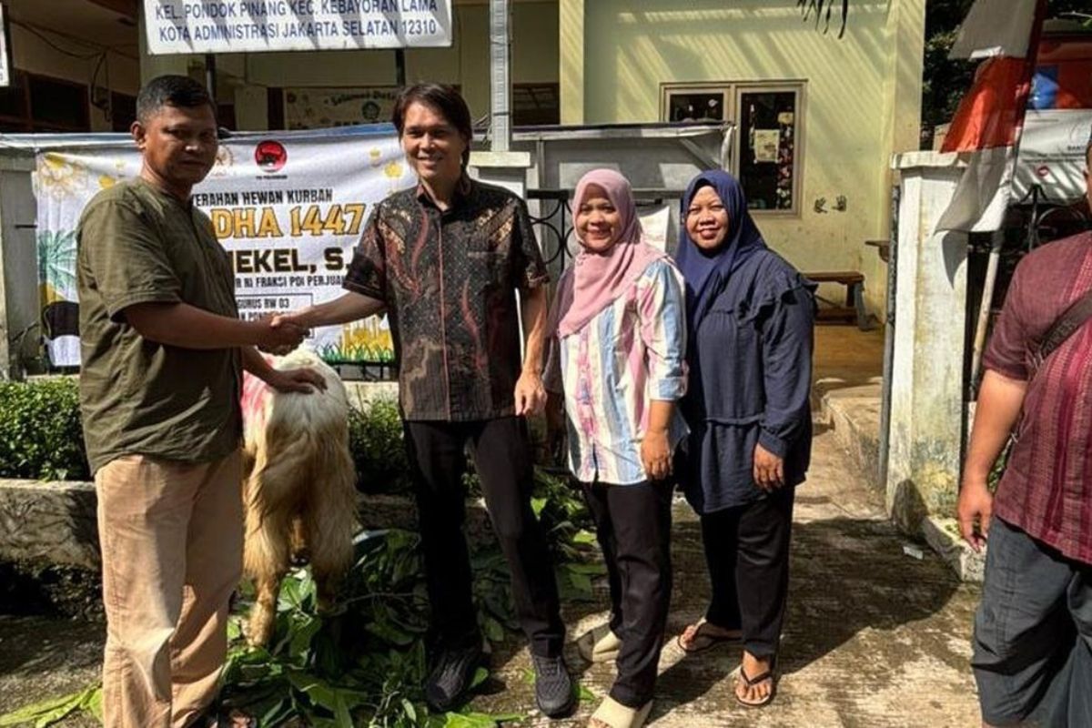 Aksi Sosial Idul Adha, Once Mekel Bagikan Sapi dan Kambing