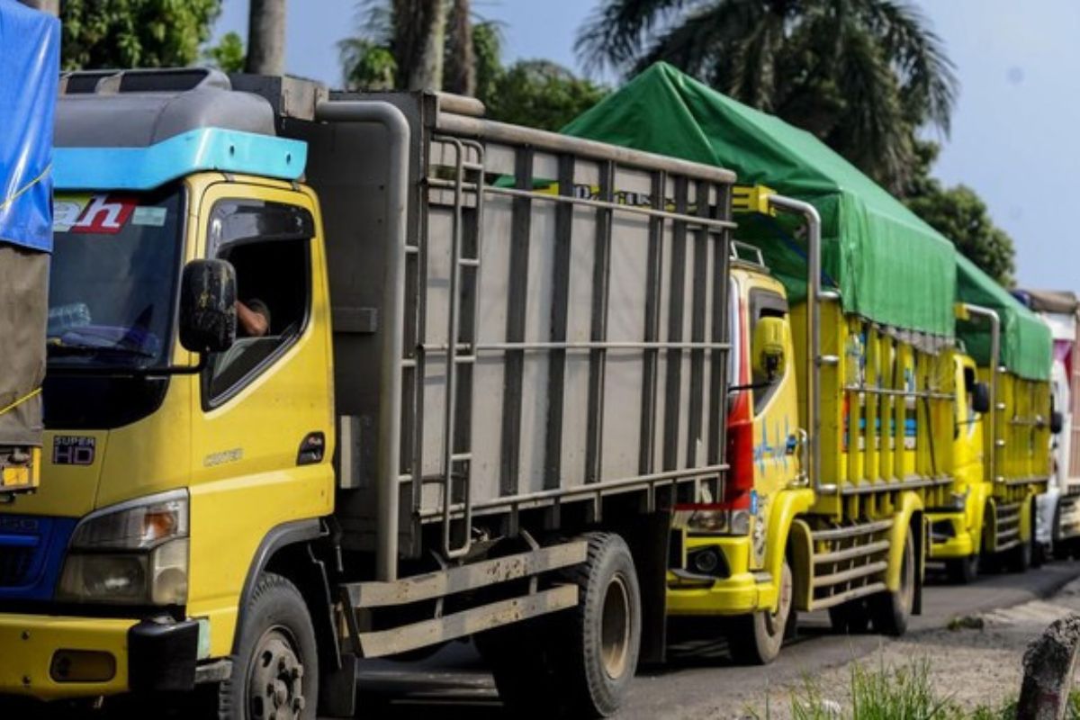 Persediaan Solar Langka, Pengusaha Angkutan Mengeluh
