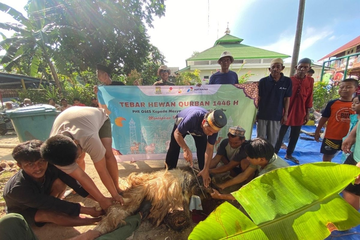 Sambut Idul Adha, PT JOE Serahkan Bantuan Sapi di Kepulauan Seribu