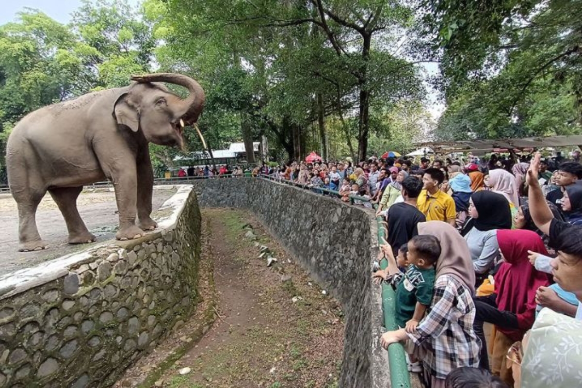120 Ribu Wisatawan Diprediksi Padati Ragunan Selama Libur Panjang