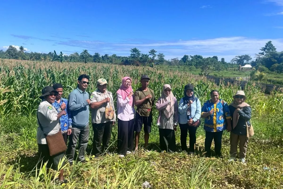 Gubernur Papua Pegunungan Batasi Pasokan Sayur Luar