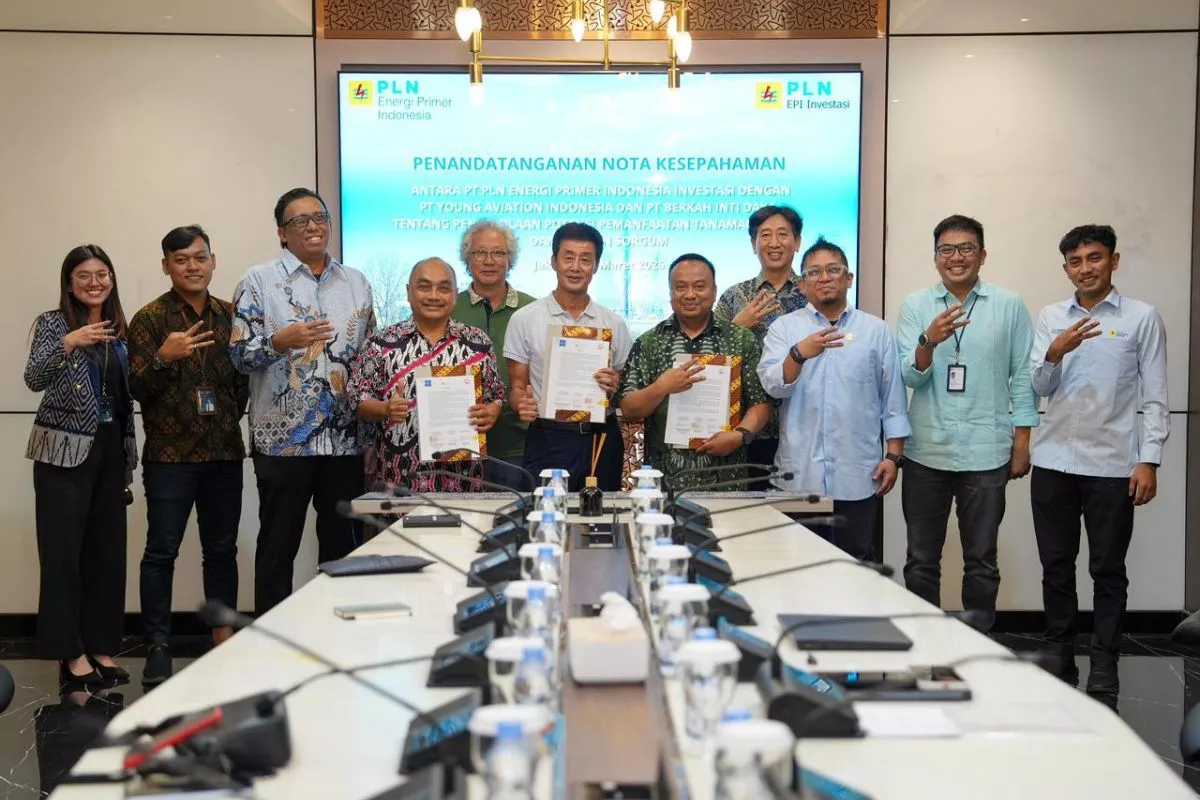 PLN EPI dan Sorbu Agro Kembangkan Bioenergi Sorgum