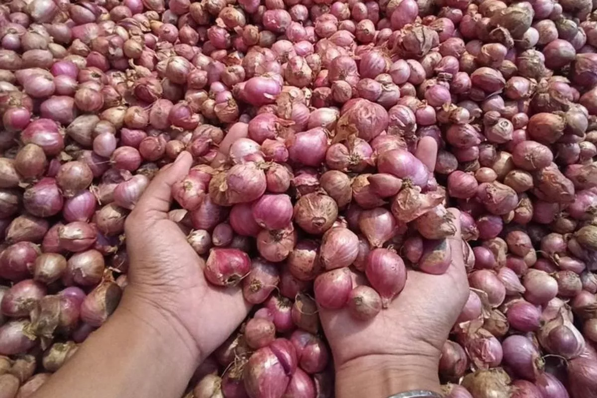 Harga Pangan Terbaru: Bawang Merah Rp 49.900/Kg, Cabai Rawit Rp 67.750