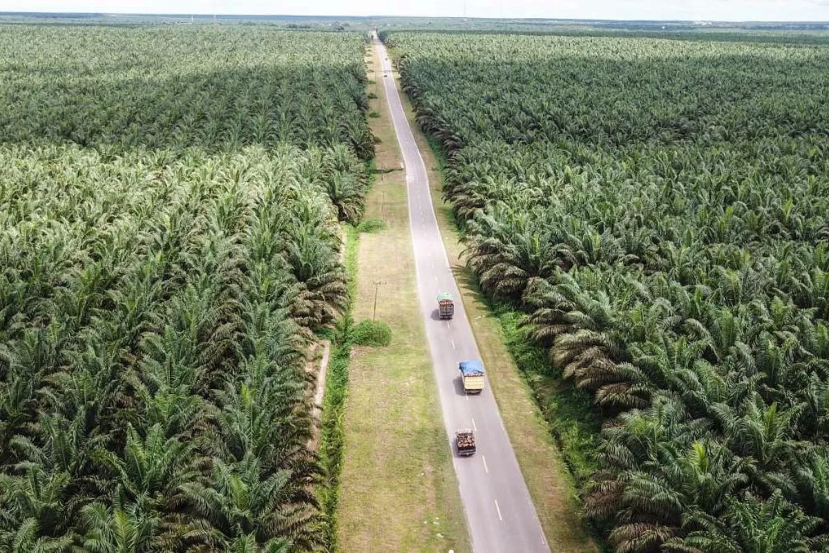 Menakar Untung-Rugi RUU Komoditas Strategis bagi Ekonomi Nasional
