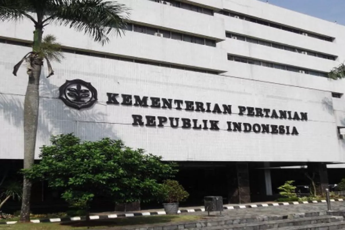 Harga Pakan Ayam Ditahan, Peternak Rakyat Dapat Perlindungan
