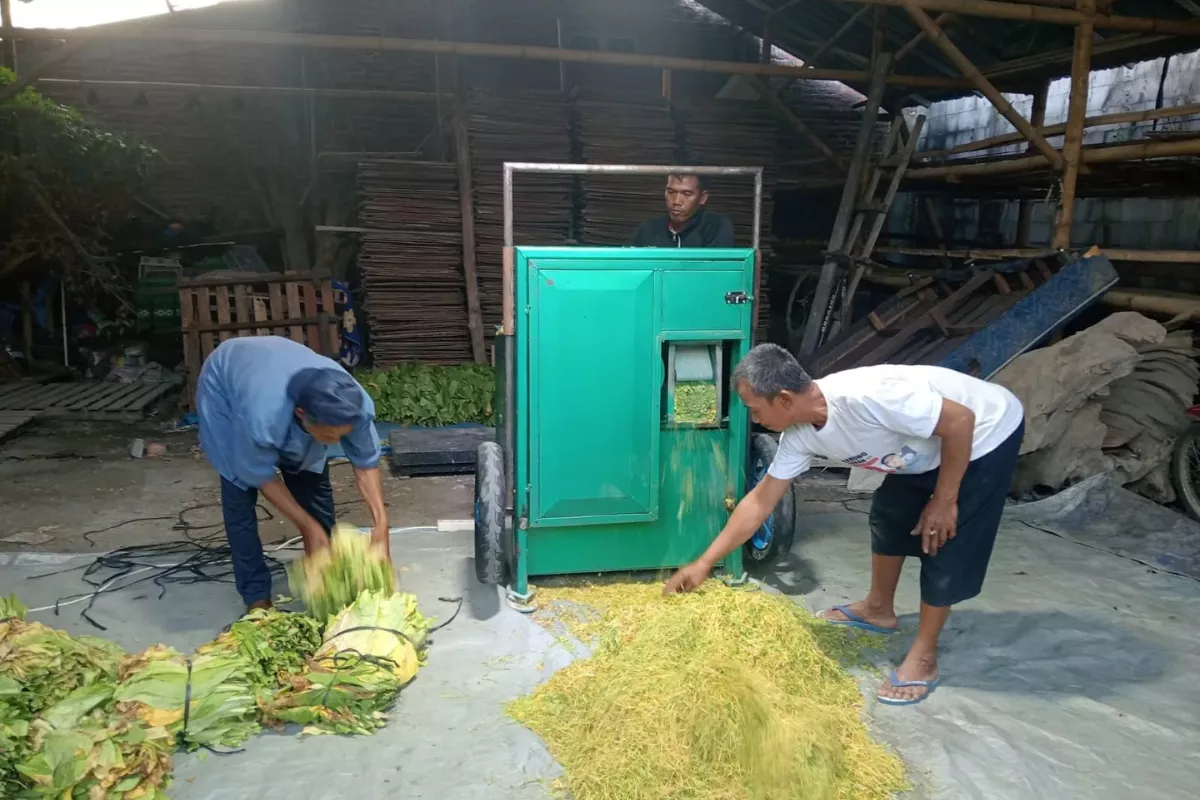 Kementan Perkuat Kemitraan Tembakau Bagi 10.000 Petani di Jateng