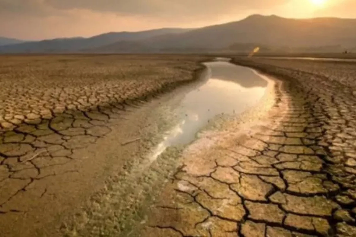 FAO Peringatkan Ancaman El Nino, RI Masuk Risiko Tinggi Kekeringan