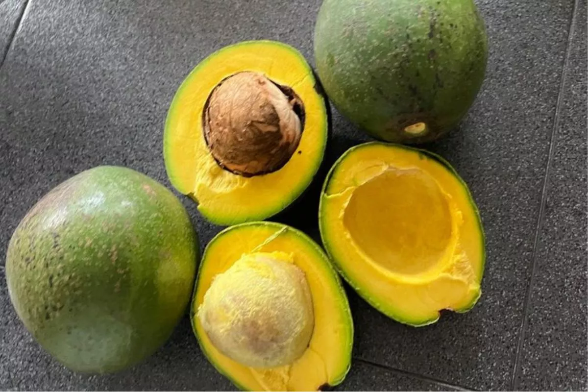 Jangan Lewatkan, 8 Makanan Ini Wajib Dicuci Sebelum Dikonsumsi