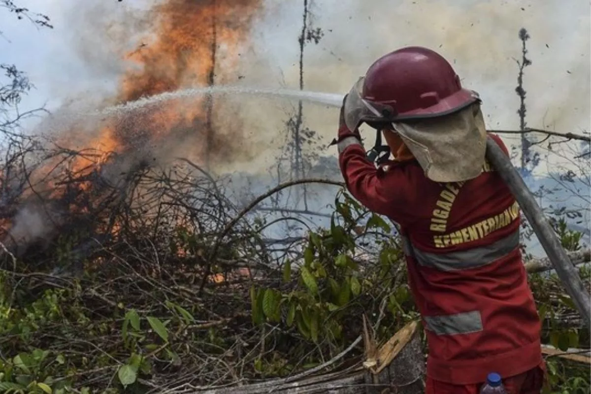 Dampak Kabut Asap Kalimantan: Sejumlah Penerbangan Batal dan Delay