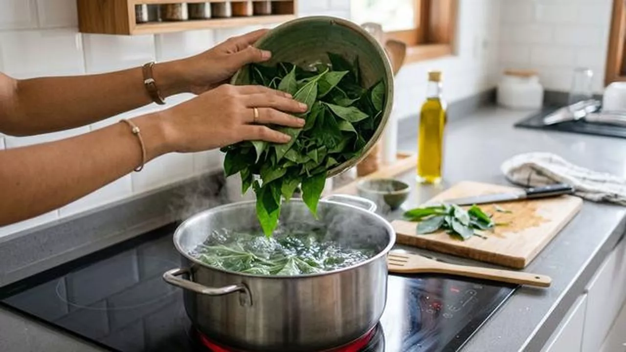 Cara Rebus Daun Singkong Ala Rumah Makan Padang Tetap Hijau Segar