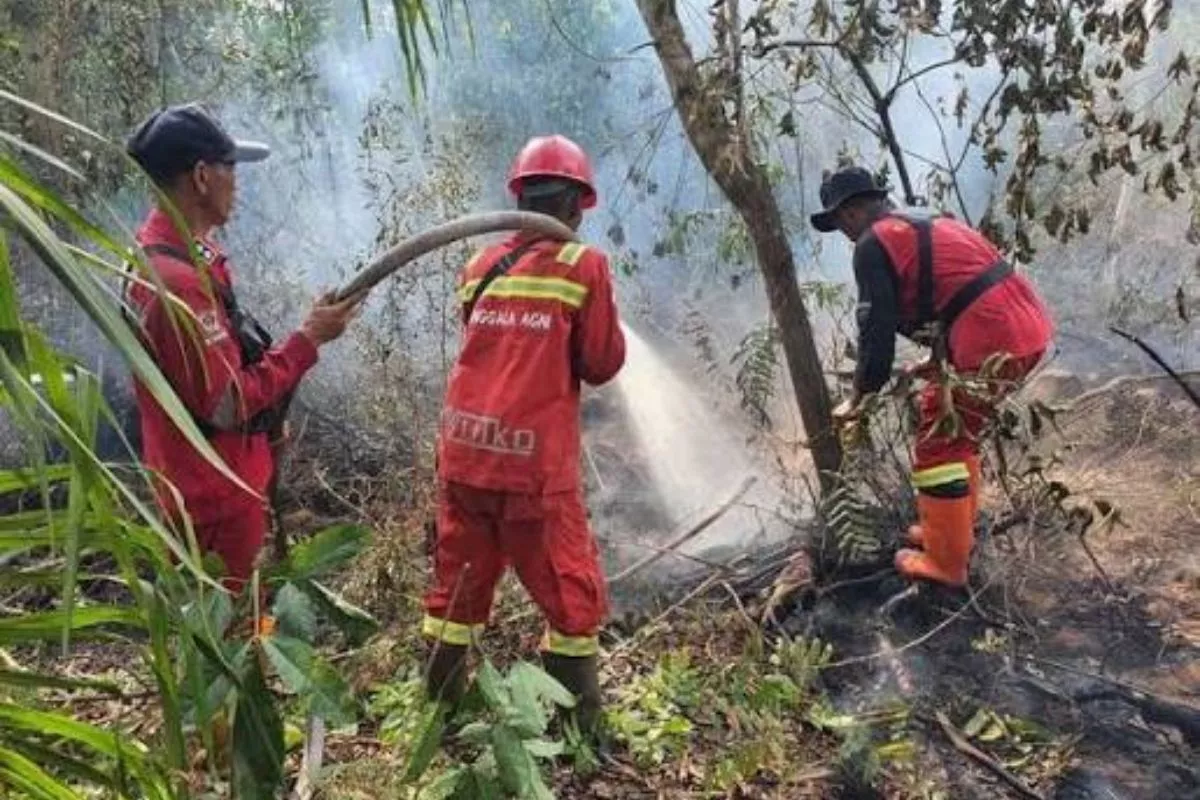 Karhutla Kalimantan Meluas, Pemerintah Tambah Armada Udara