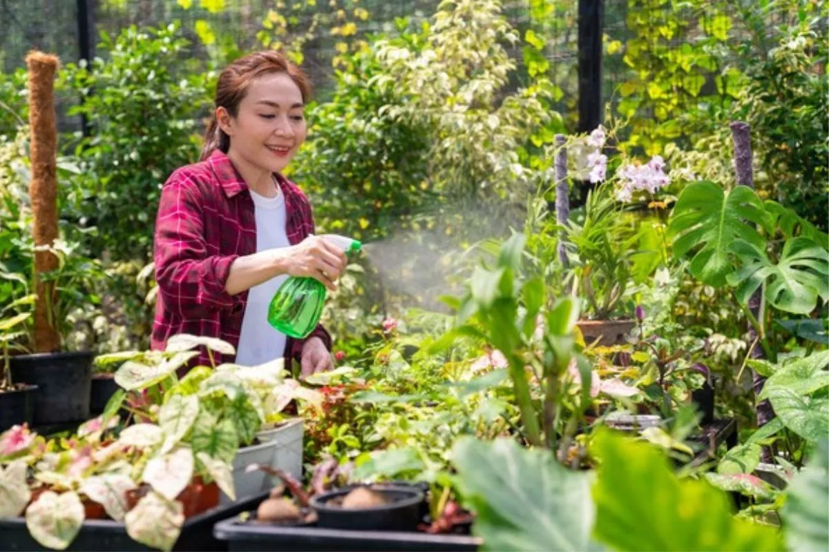 Studi: Rutin Berkebun di Luar Rumah Kurangi Risiko Insomnia
