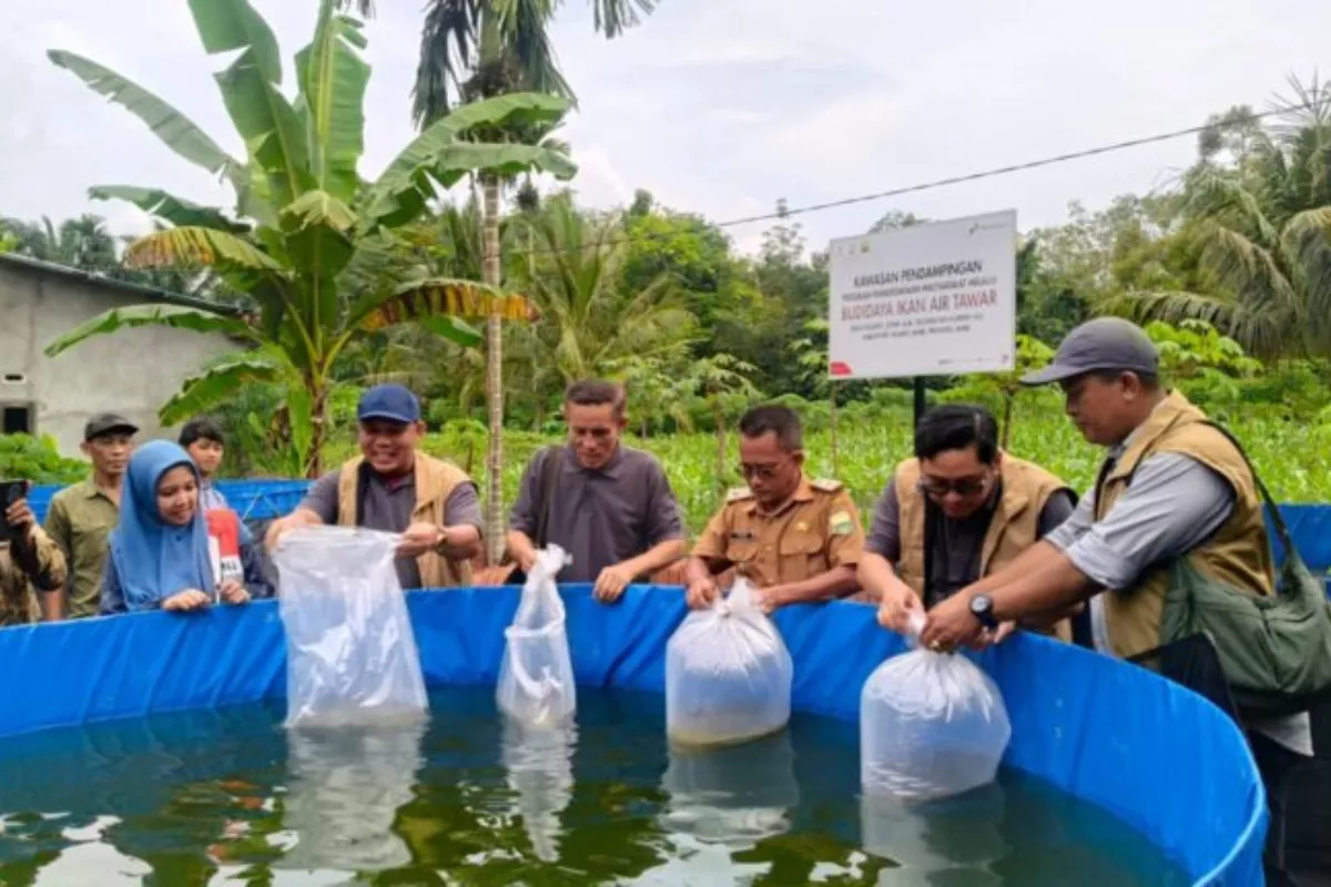 SKK Migas-Pertamina EP Berdayakan Pembudidaya Ikan di Muaro Jambi