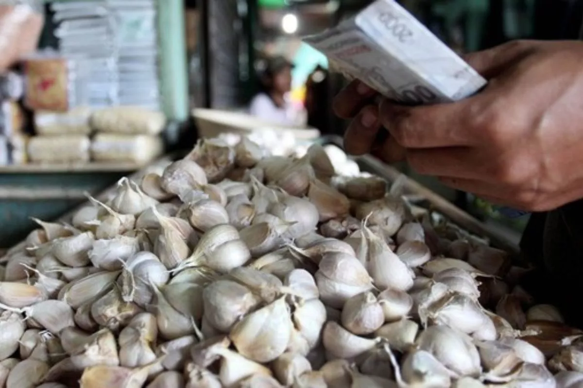 Update Harga Pangan Hari Ini: Mayoritas Turun, Bawang Putih Anjlok