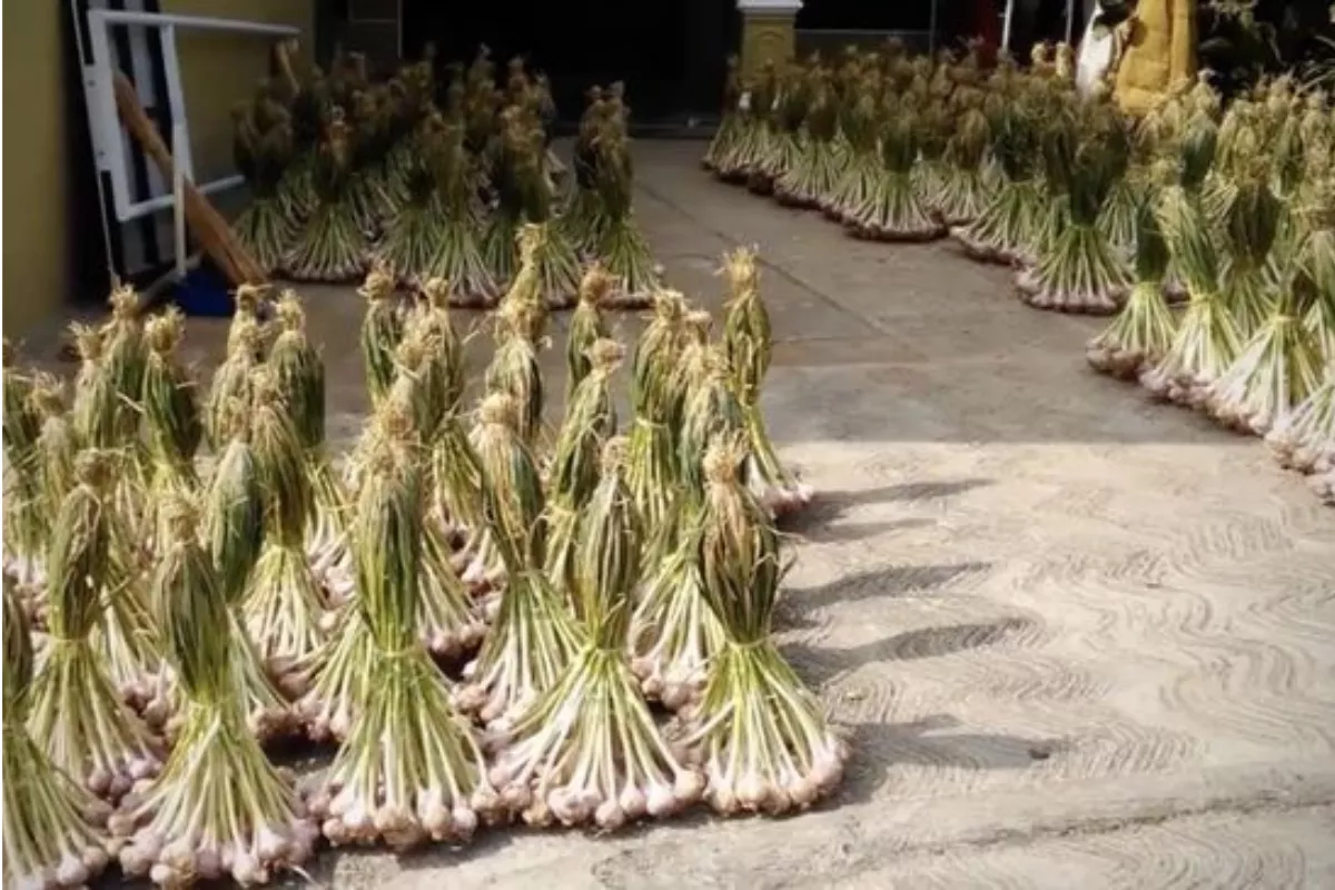 Kemendag Dorong Realisasi Impor Bawang Putih demi Stabilkan Harga