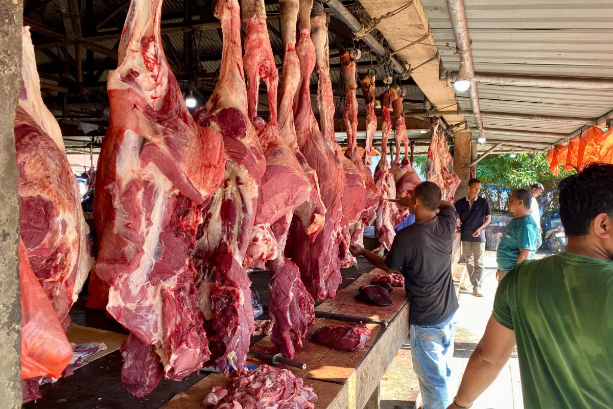 Harga Daging Sapi di Mimika Stabil Rp 145 Ribu Jelang Idul Adha