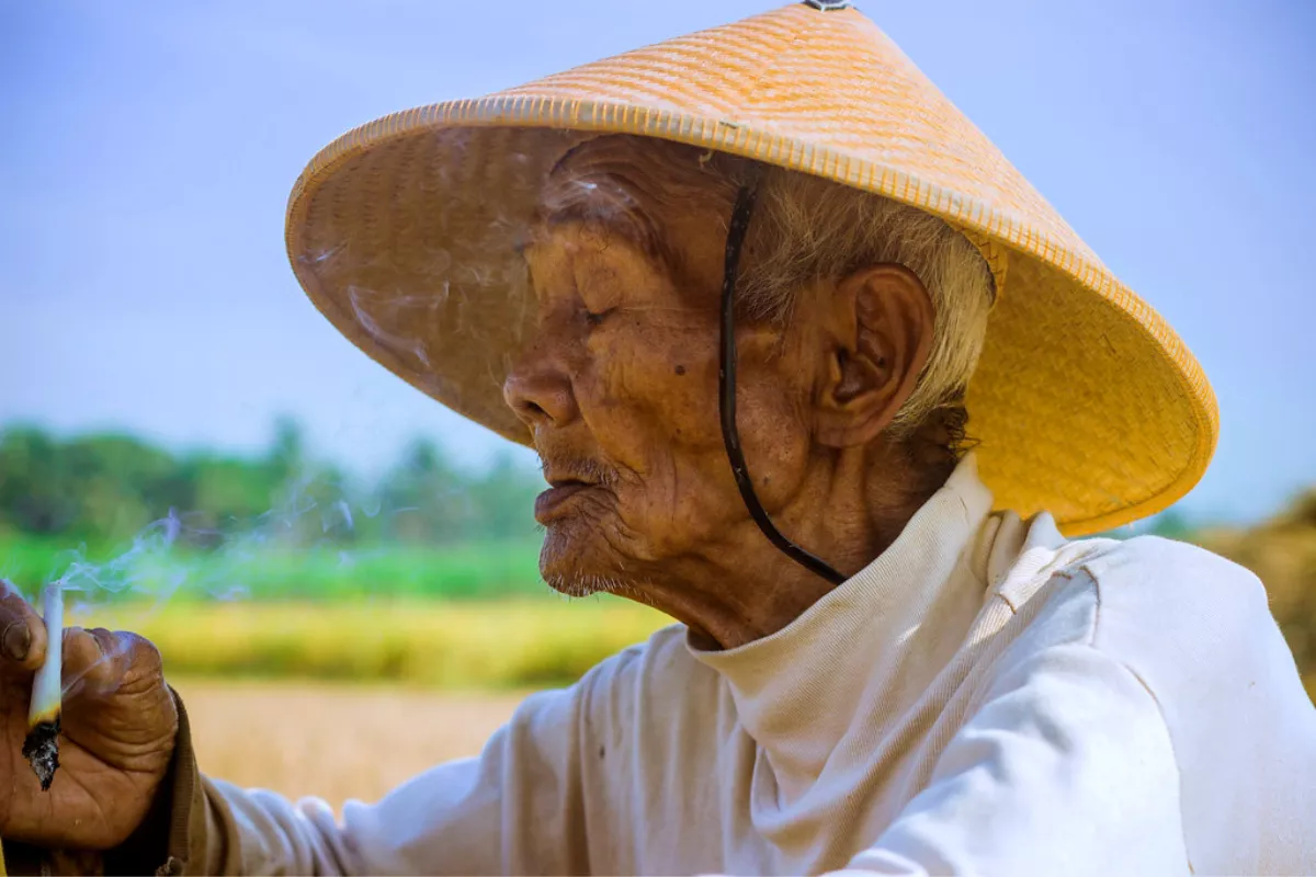 Rata-rata Umur Petani Kian Tua: BPS Ungkap Usia Petani Makin Lanjut