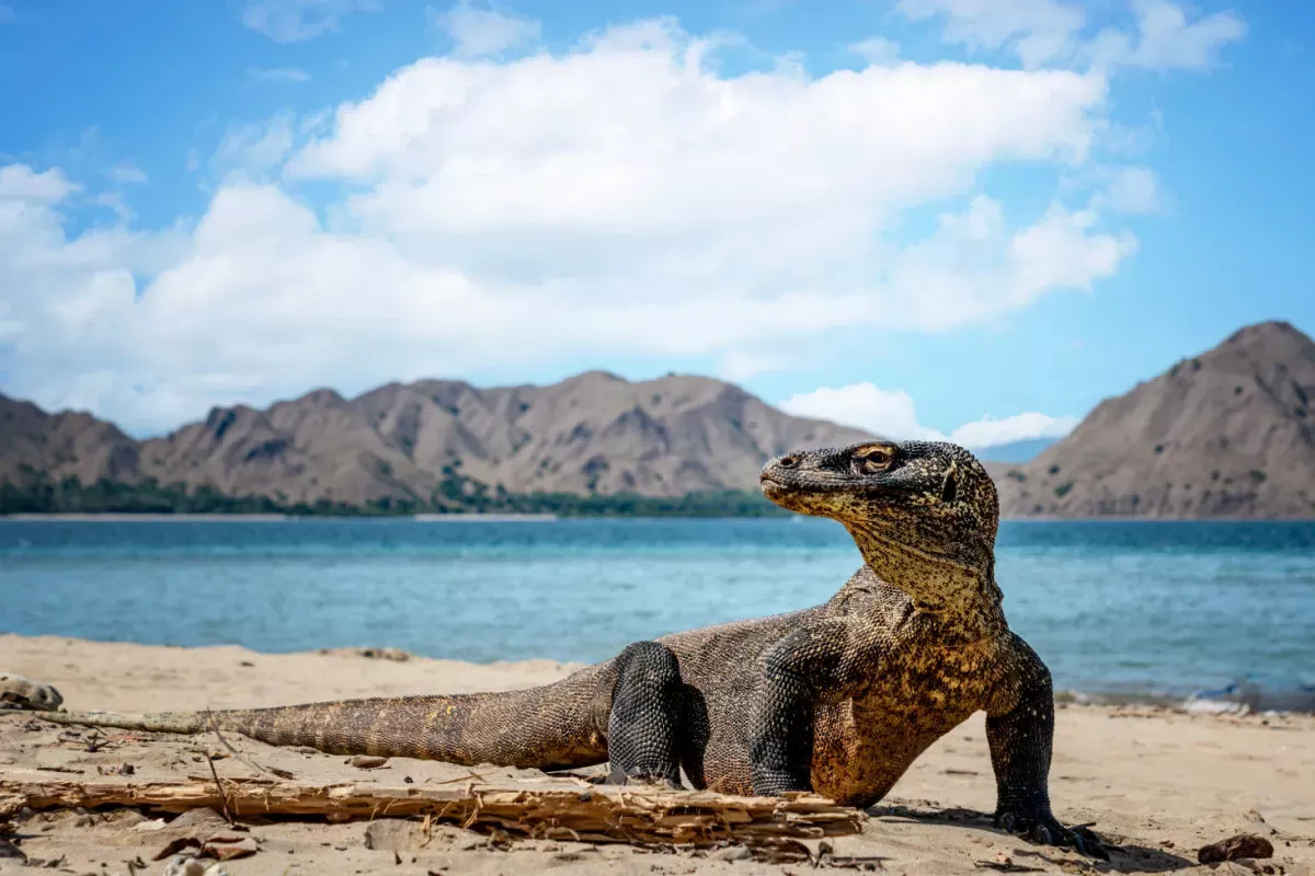 Keindahan Wisata Alam Indonesia: Surga Tropis Menakjubkan