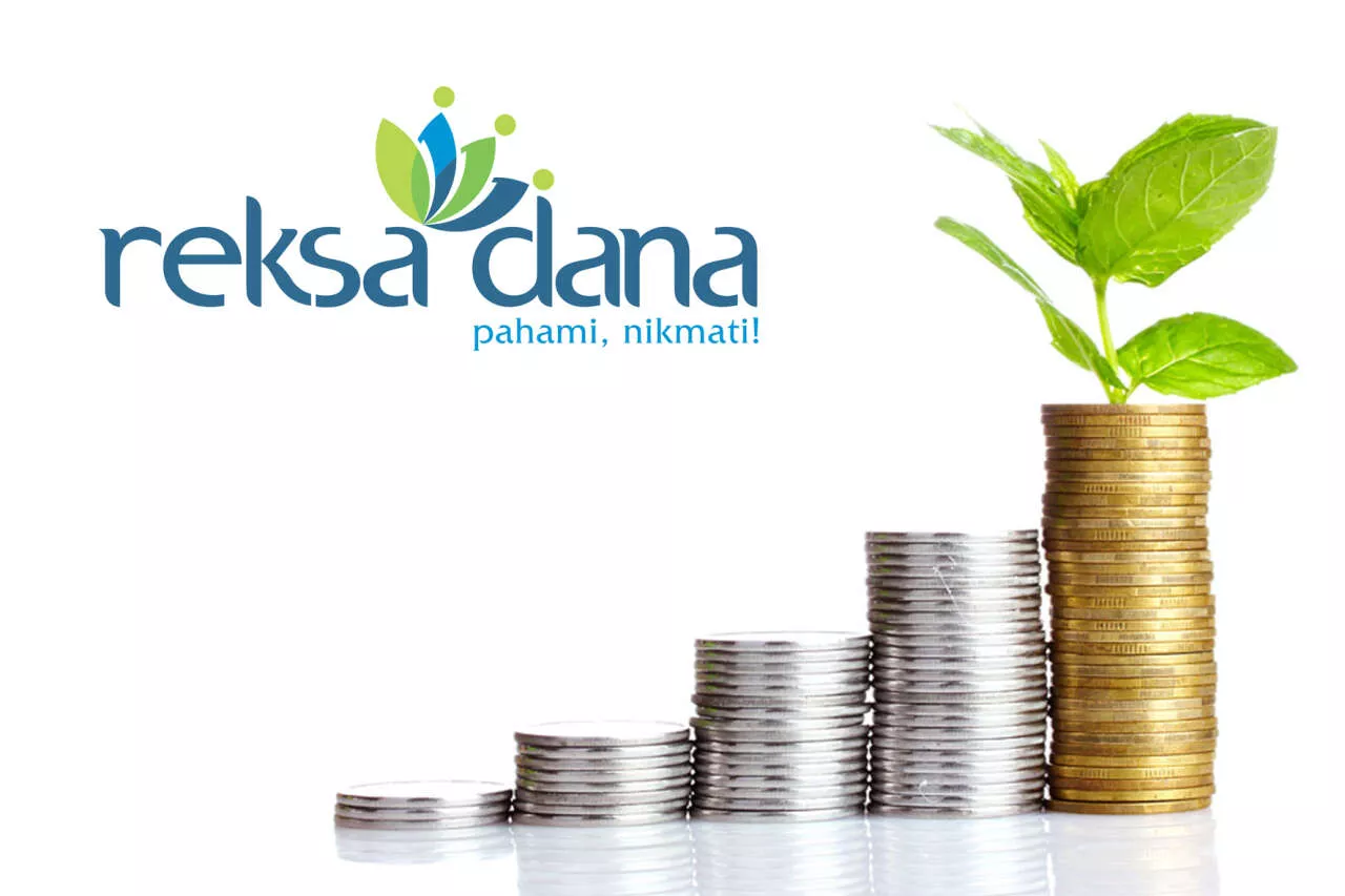 Cara Baca Factsheet Reksadana Untuk Pemula Cuan Maksimal