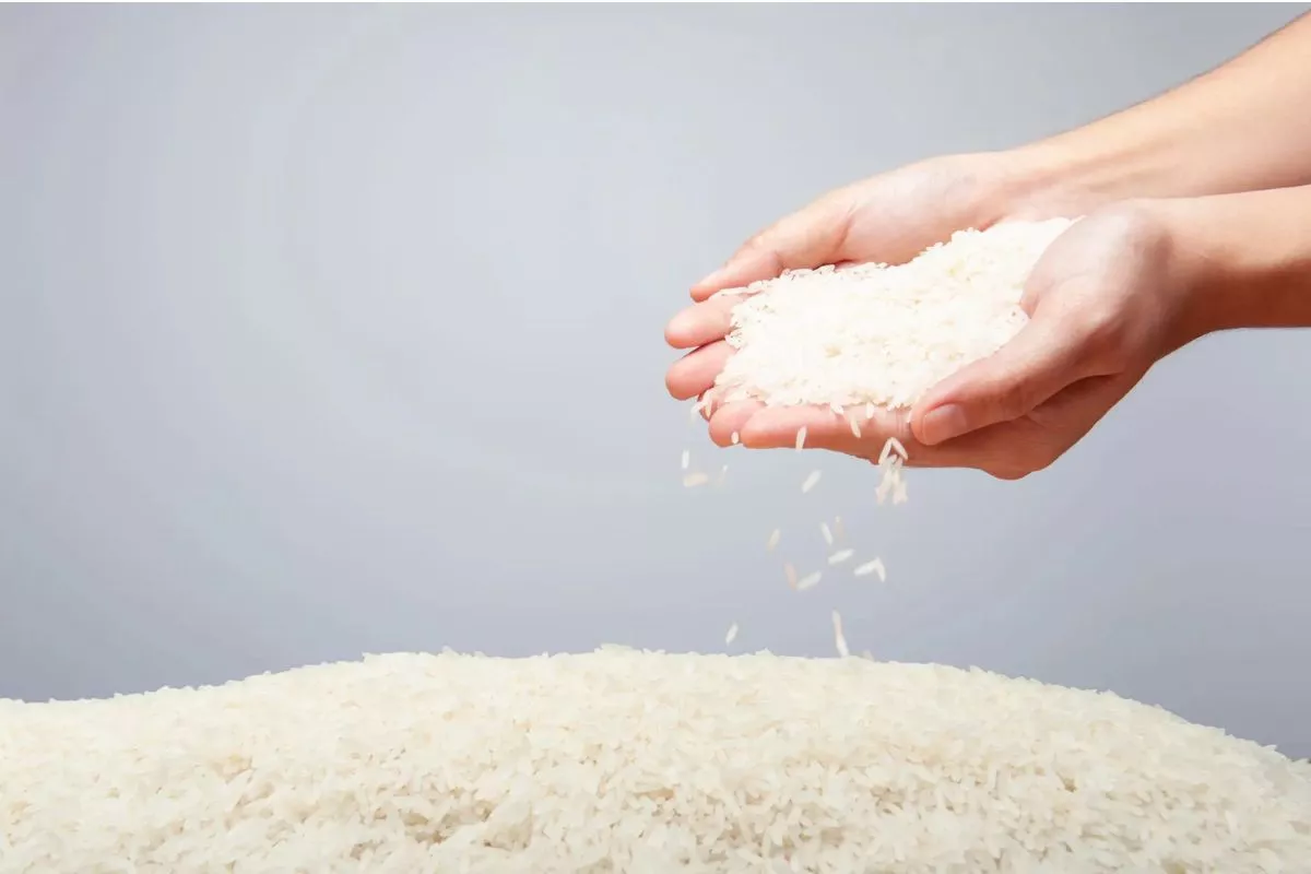 Kompak Naik, Harga Beras Picu Inflasi Volatile Food Juli 2026