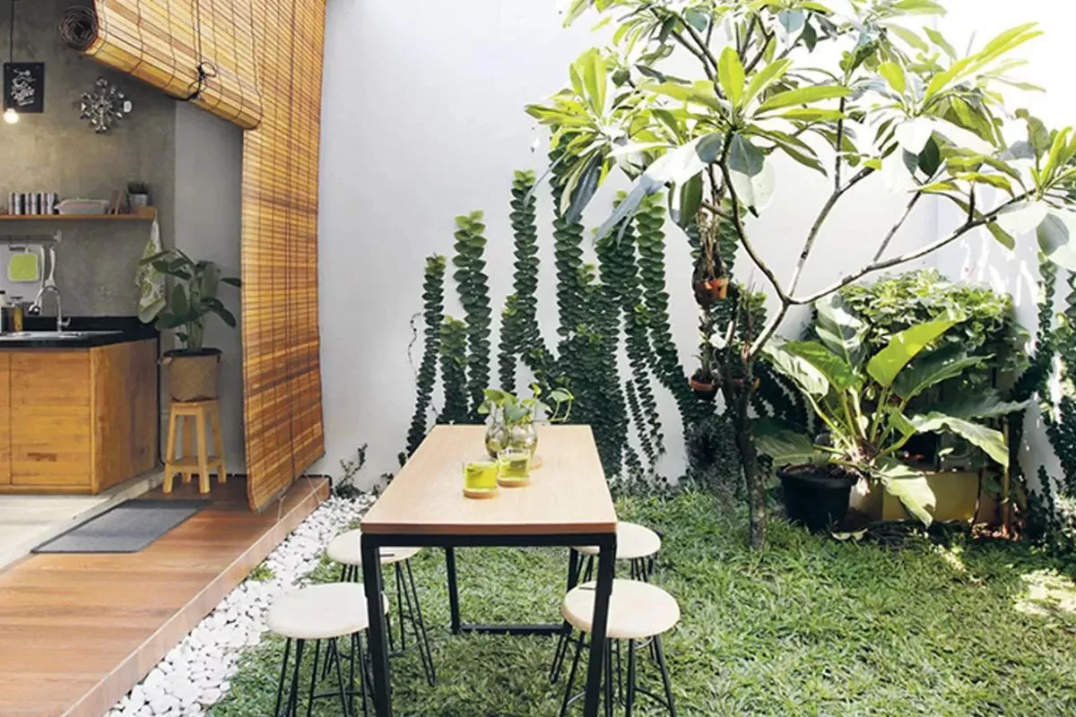 Inspirasi Desain Taman Mini di Rumah Minimalis untuk Lahan Terbatas