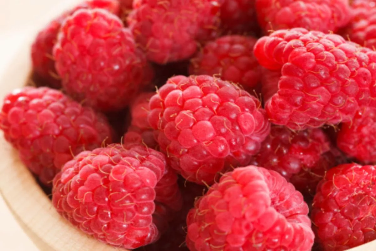 Alasan Raspberry Menjadi Buah Pilihan Terbaik untuk Menurunkan Berat Badan