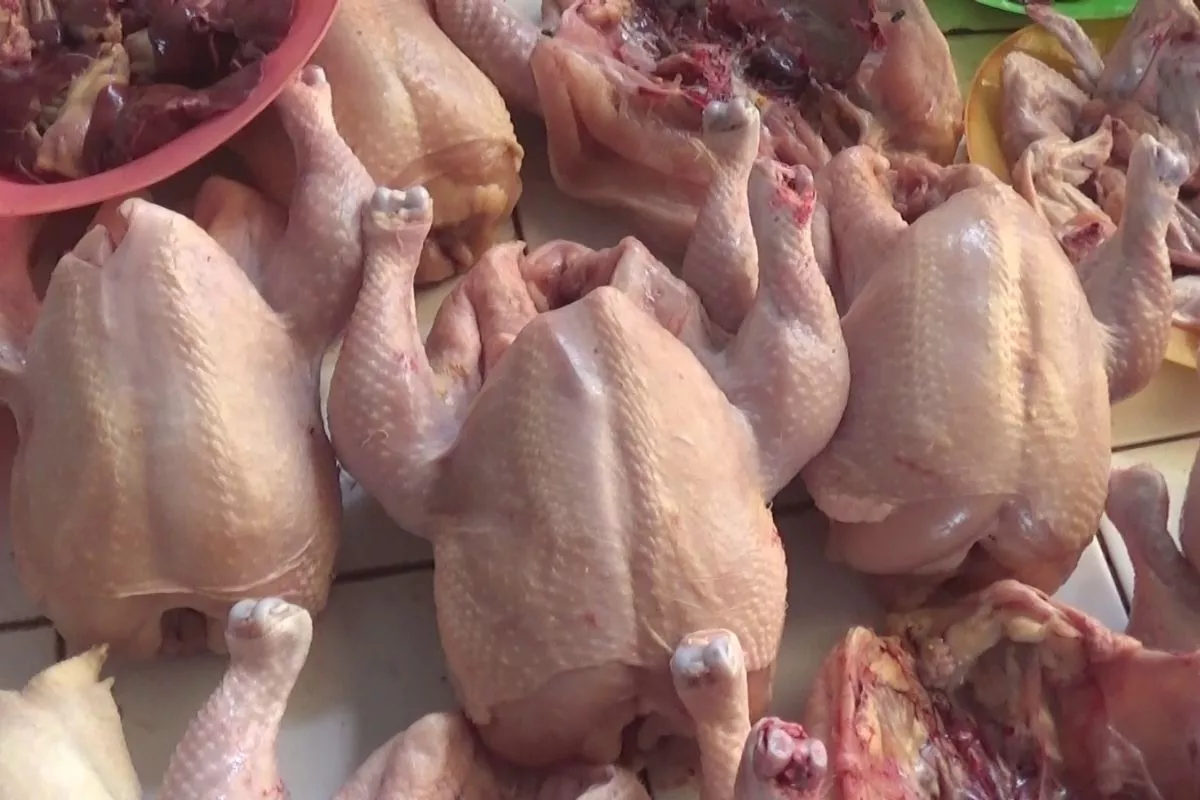 Harga Daging Ayam Ras Tembus Rp40.041 per Kg di 205 Daerah Pekan Ini